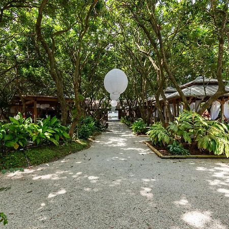 Magical Wonderkoi House In A Japanese Koi Garden Villa Miami Exteriör bild