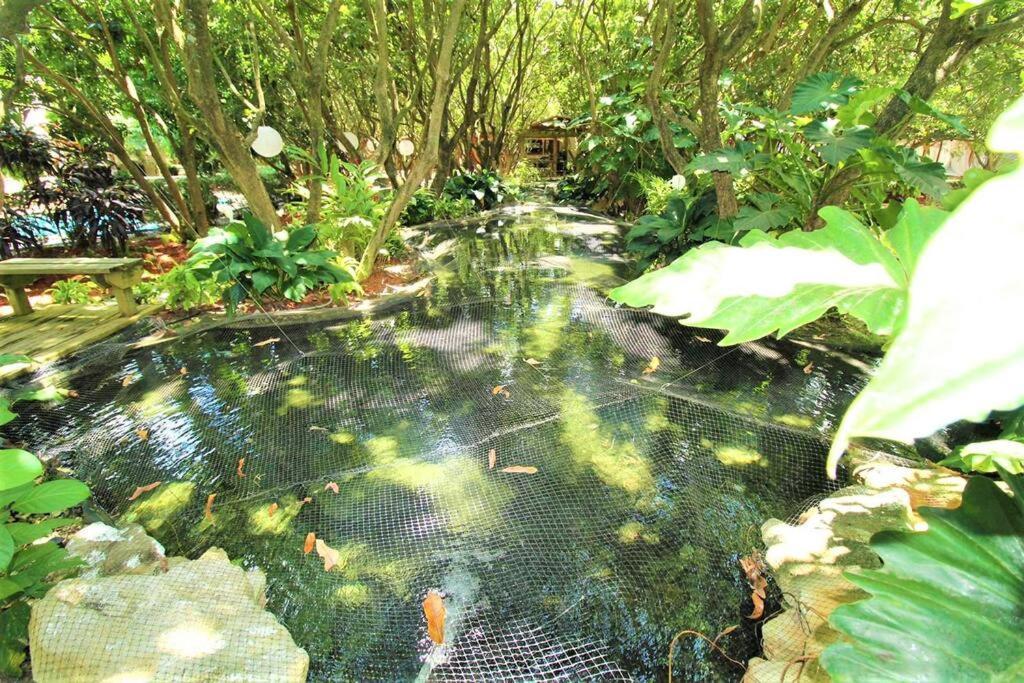 Magical Wonderkoi House In A Japanese Koi Garden Villa Miami Exteriör bild